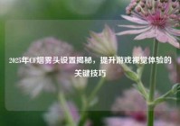 2025年CF烟雾头设置揭秘，提升游戏视觉体验的关键技巧