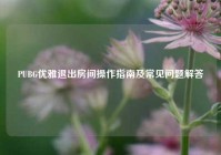 PUBG优雅退出房间操作指南及常见问题解答