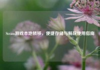 Steam游戏本地转移，便捷存储与畅玩使用指南