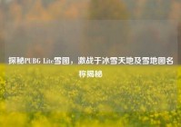 探秘PUBG Lite雪图，激战于冰雪天地及雪地图名称揭秘
