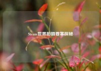Steam世界拍摄要塞探秘