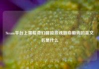 Steam平台上黑暗奇幻冒险游戏致命躯壳的英文名是什么