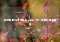 欧洲杯葡萄牙对阵匈牙利，比分预测与赛事前瞻