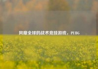 风靡全球的战术竞技游戏，PUBG