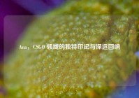 Ana，CSGO 领域的独特印记与深远回响