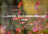 Steam诉讼风波，游戏平台面临的法律挑战及行业影响