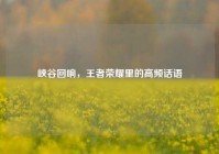 峡谷回响，王者荣耀里的高频话语
