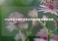 PUBG未显示图标及背包问题的排查修复指南