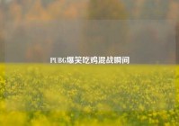 PUBG爆笑吃鸡混战瞬间