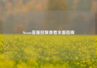 Steam客服回复查看全面指南