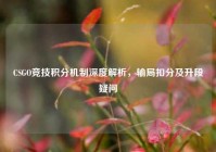 CSGO竞技积分机制深度解析，输局扣分及升段疑问
