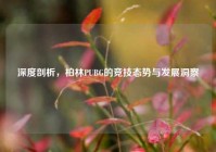 深度剖析，柏林PUBG的竞技态势与发展洞察