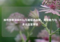 探寻世界顶级PUBG与葡萄酒品牌，竞技魅力与多元品鉴体验