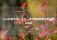CSGO比赛中的Box艺术，战术策略解析与赛制胜局探究