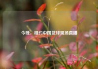 今晚，相约中国篮球现场直播