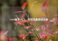 CSGO新手入门，开启热血竞技之旅