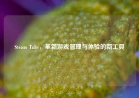 Steam Tabs，革新游戏管理与体验的新工具