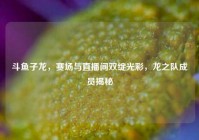斗鱼子龙，赛场与直播间双绽光彩，龙之队成员揭秘