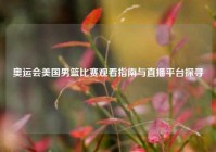 奥运会美国男篮比赛观看指南与直播平台探寻