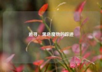 追寻，黑色魔物的踪迹