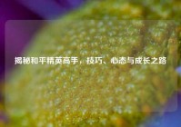 揭秘和平精英高手，技巧、心态与成长之路