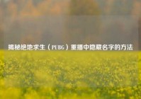 揭秘绝地求生（PUBG）重播中隐藏名字的方法