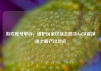 游戏账号申诉，维护玩家权益之路及dnf深邃深渊之鳞产出地点