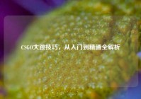 CSGO大跳技巧，从入门到精通全解析