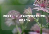 绝地求生（PUBG）侧瞄镜子切换按键及提升射击效率方法