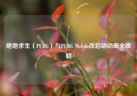 绝地求生（PUBG）与PUBG Mobile改启动动画全攻略