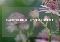 CSGO中的嘴臭现象，游戏生态的负面因子