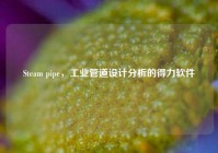 Steam pipe，工业管道设计分析的得力软件