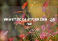 掌握王者荣耀拉视角技巧与灵敏度调节，迈向超神