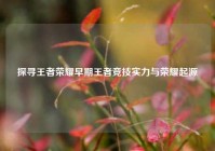 探寻王者荣耀早期王者竞技实力与荣耀起源