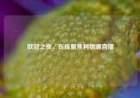 欧冠之夜，在线聚焦利物浦直播