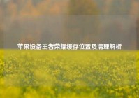 苹果设备王者荣耀缓存位置及清理解析