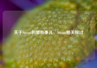 关于Steam的那些事儿，Steam相关探讨