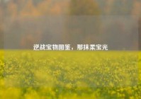 逆战宝物图鉴，那抹柔宝光