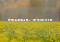 警惕CSGO网狗乱象，守护纯净游戏天地