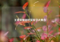 王者荣耀超好笑段子大集合
