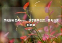 单机游戏丢失Steam，数字娱乐变迁、思考与文件修复