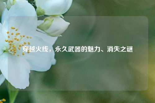 穿越火线，永久武器的魅力、消失之谜