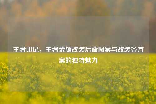 王者印记，王者荣耀改装后背图案与改装备方案的独特魅力