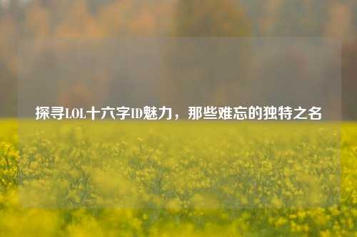 探寻LOL十六字ID魅力，那些难忘的独特之名