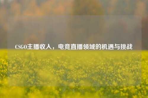 CSGO主播收入，电竞直播领域的机遇与挑战