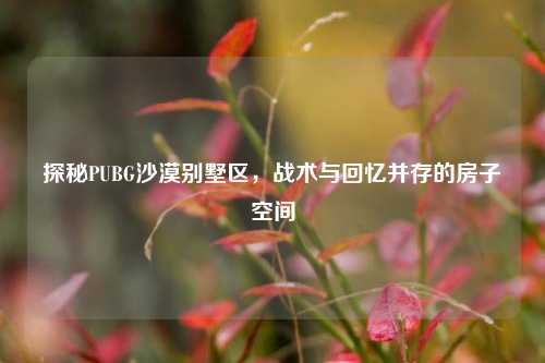 探秘PUBG沙漠别墅区，战术与回忆并存的房子空间