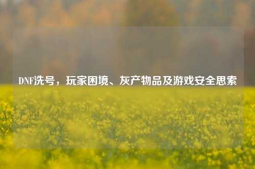 DNF洗号，玩家困境、灰产物品及游戏安全思索