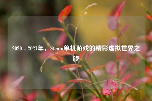2020 - 2021年，Steam单机游戏的精彩虚拟世界之旅