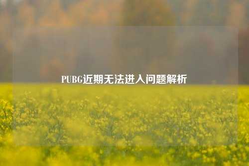 PUBG近期无法进入问题解析