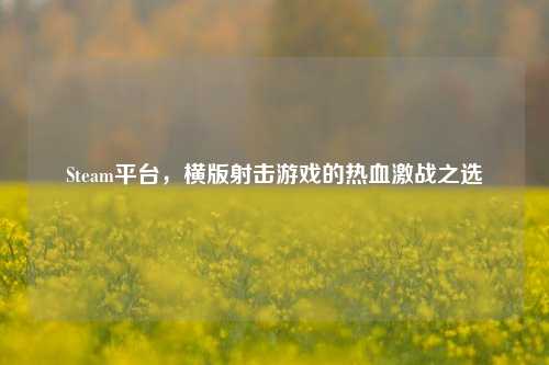 Steam平台,横版射击游戏的热血激战之选